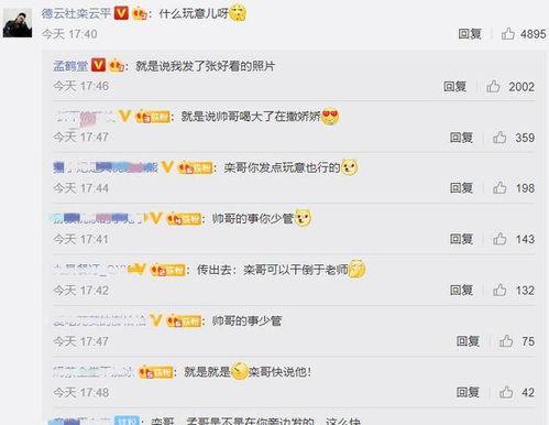 娱乐吃瓜酱评论区,揭秘明星幕后故事，笑料百出