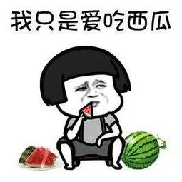 吃瓜吃到娱乐圈